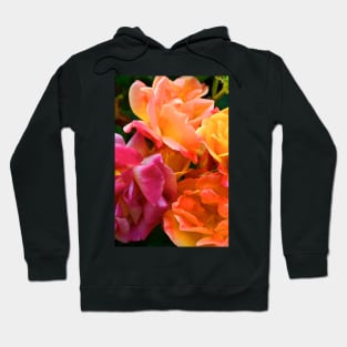 Rose 275 Hoodie